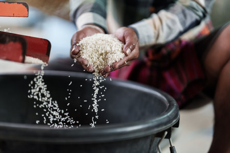 A farmer shows rice being milled using a rice mill on his hand.の写真素材