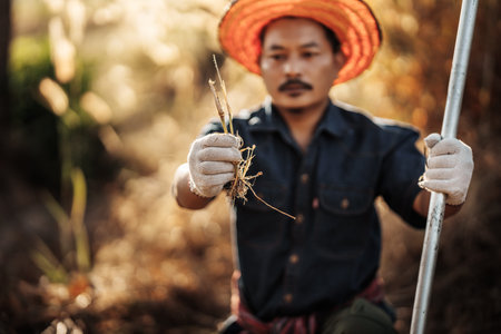A gardener is cleaning weeds from the soil before planting vegetables.