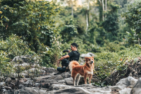 Hikers use binocular to see animals and view landscape with backpacks in the forest. hiking and...