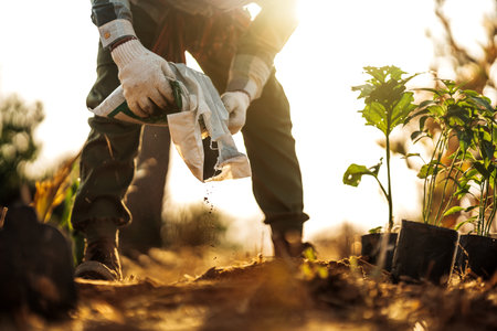 Gardeners pour soil from sacks into long pots before planting.