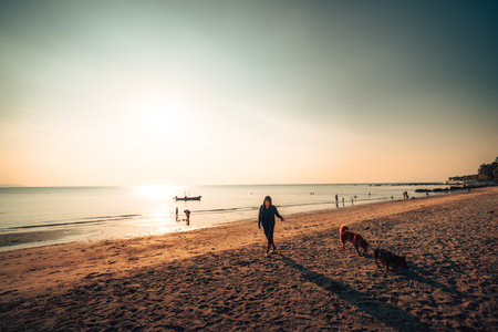 A dog is playing in the sea with its owner during sunset.の写真素材