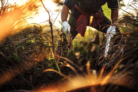 Farmers pull weeds out of the soil and throw them away.