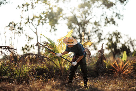Gardeners use a hoe to remove weeds and dig trenches for farming.の写真素材