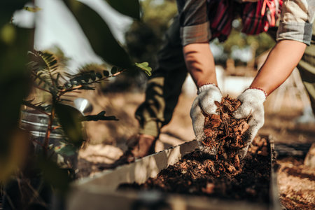 Gardeners are using coconut husks as a base for pots mixed with soil before planting vegetables.の写真素材