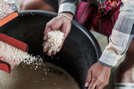 A farmer shows rice being milled using a rice mill on his hand.