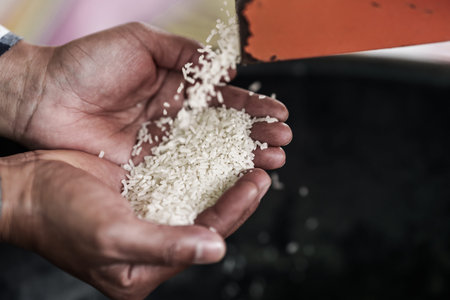 A farmer shows rice being milled using a rice mill on his hand.