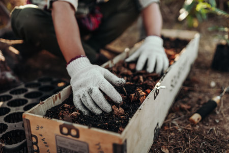 Gardeners use their hands to spread the soil in long pots to prepare for planting.の写真素材