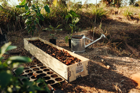 A watering can is placed on the ground next to a plant pot in the garden.の写真素材
