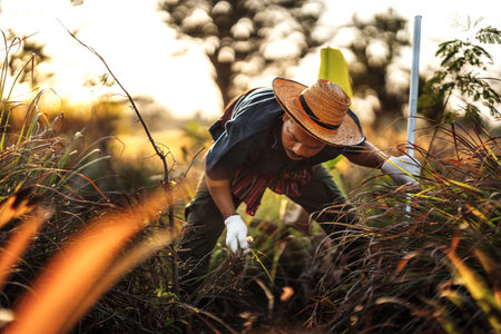 Farmers pull weeds out of the soil and throw them away.