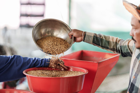 A farmer is pouring rice into a rice mill.の写真素材