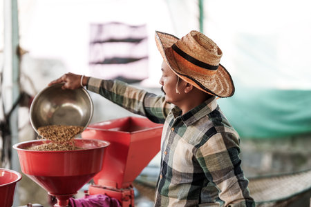 A farmer is pouring rice into a rice mill.の写真素材