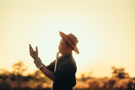 A cassava farmer puts on cloth gloves and holds a hoe to dig soil in the middle of his field during sunset.の写真素材