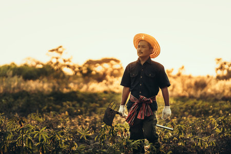 A cassava farmer holds a hoe and stands in the middle of his field during sunset.の写真素材