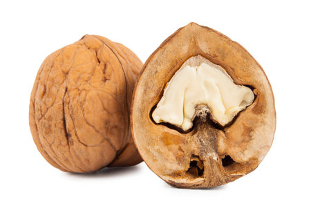 Dried walnuts