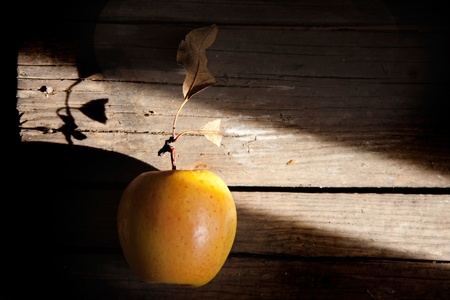 Apple on gray old wooden table の写真素材