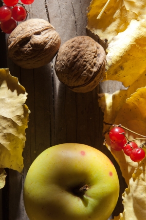 Autumn background. Apple, walnuts, berries of Viburnum, yellow leaves.の写真素材