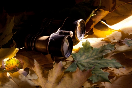 Old binoculars and autumn leaves.の写真素材