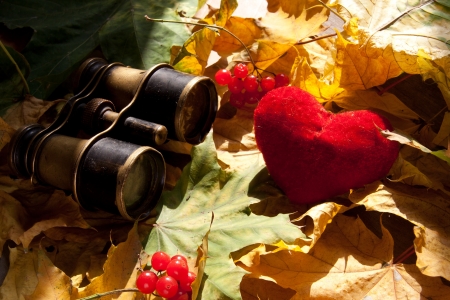 Concept Find Love.の写真素材