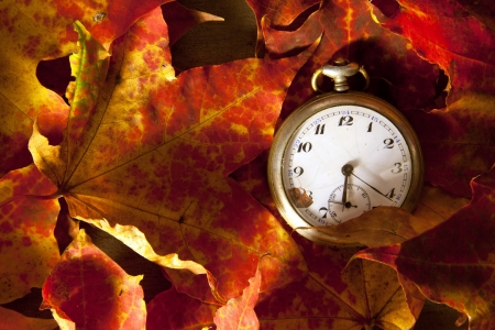 Antique pocket watch covered with autumn leaves の写真素材