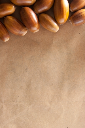Acorns background. Acorns and old paperの写真素材