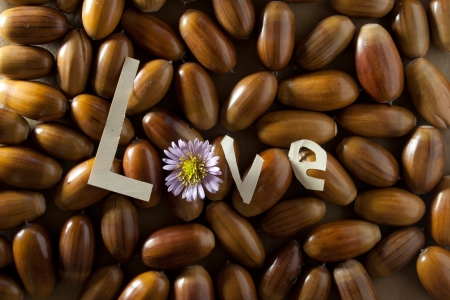 Concept of love.の写真素材