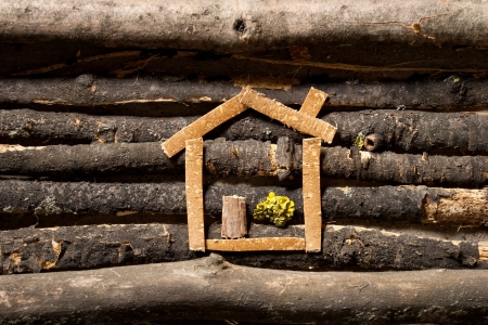 Wooden house concept  ecological house  の写真素材