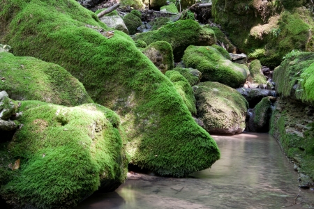 Mountain stream among the mossy stonesの写真素材