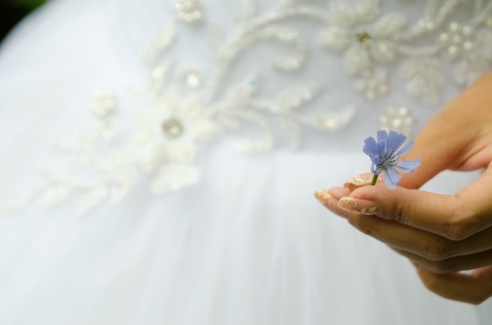 Wedding background  The hand with a flower on a background of a wedding dress の写真素材