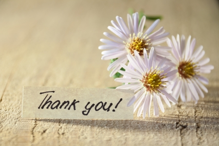 Banner with thank you and  blossoms. の写真素材