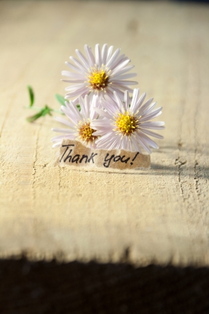 Banner with thank you and  blossoms. の写真素材