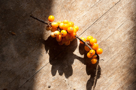 Sea-buckthorn berries on a wooden surface