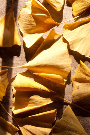 Bright yellow autumn leaves on a wooden surface.