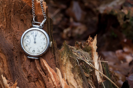 Vintage clock on a wooden stump in a autumn forest. Fall time.