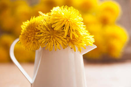 vase with dandelionsの写真素材