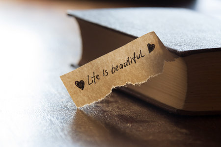 life is beautiful concept, hand lettering