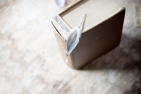 Fall in love. label and book on a wooden table. Focus on the bird feather.の写真素材