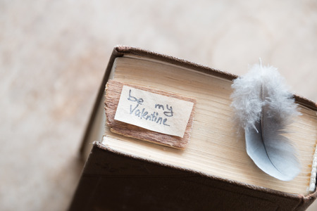be my valentine Hand Lettering, book and featherの写真素材