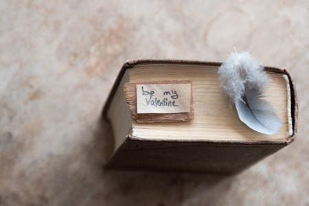 be my valentine Hand Lettering, book and featherの写真素材