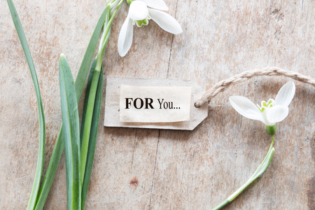 Beautiful snowdrops on wooden background and text for youの写真素材