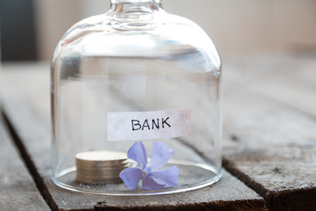 Bank Concept. Gold coins on a table under a glass cover and blue flower.の写真素材