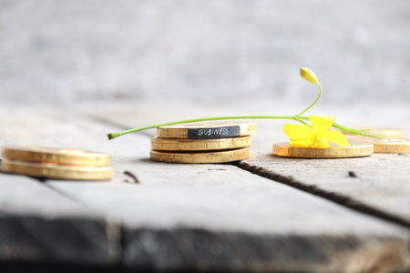 business idea, the gold coins on the table and the tag with the text business