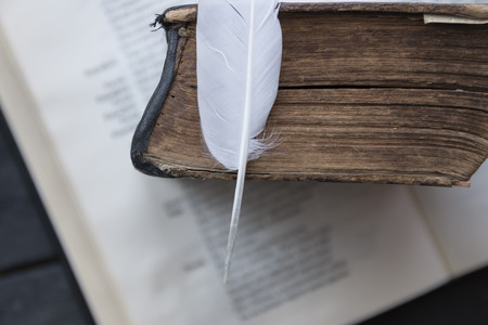 Free courses or school idea. Book and feather.の写真素材