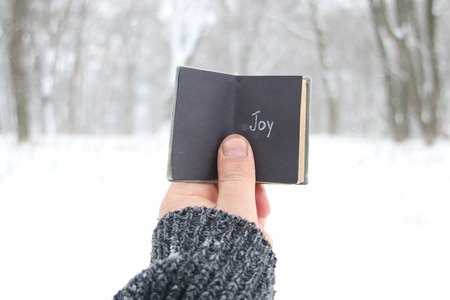 Joy, winter idea. Vintage book with inscriptionの写真素材