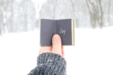 Joy or winter idea. Vintage book with inscription