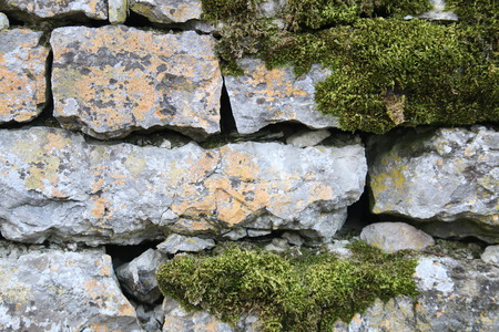 natural stone wall with many moss on itの写真素材