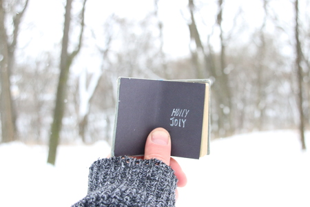 holly jolly, man holding a book with the inscriptionの写真素材