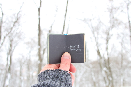 winter wonderland, man holding a book with the inscriptionの写真素材