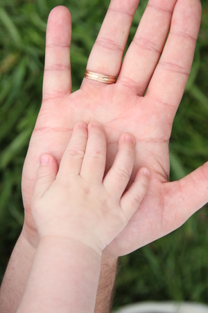 Father Holding baby hand. Concept of parental love.の写真素材