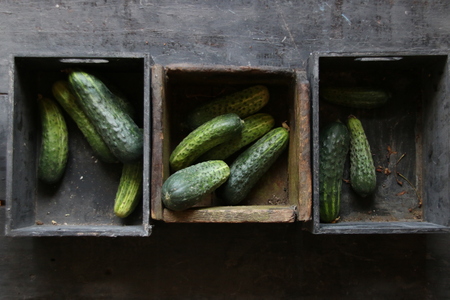 Fresh cucumbers on a old wooden backgroundの写真素材
