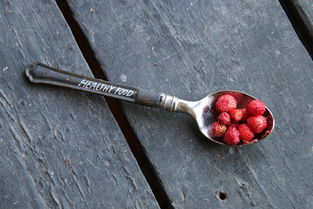 Healthy food idea. Vintage style.の写真素材